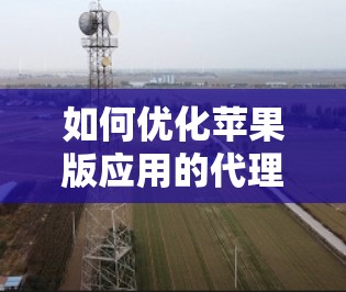 如何优化苹果版应用的代理服务
