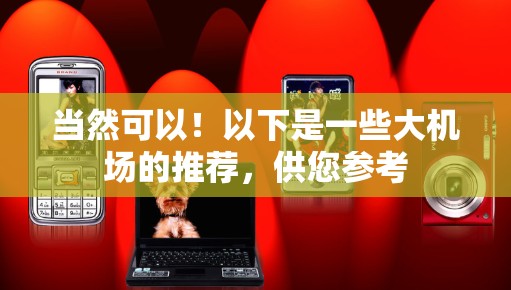 当然可以！以下是一些大机场的推荐，供您参考