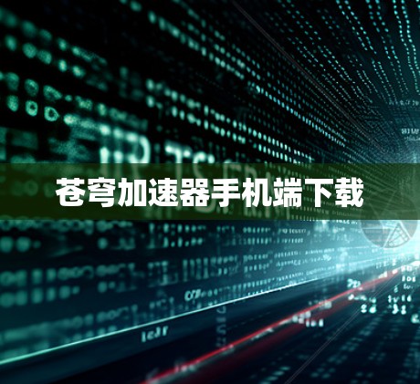 苍穹加速器手机端下载