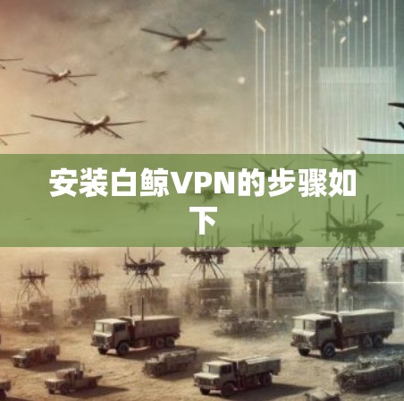 安装白鲸VPN的步骤如下