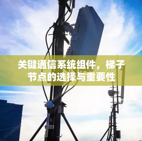 关键通信系统组件，梯子节点的选择与重要性