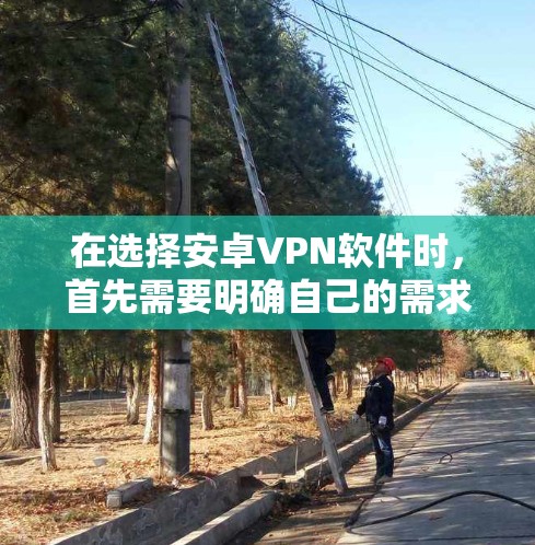 在选择安卓VPN软件时，首先需要明确自己的需求和预算。以下是一些推荐的软件及其特点，供参考