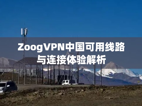ZoogVPN中国可用线路与连接体验解析