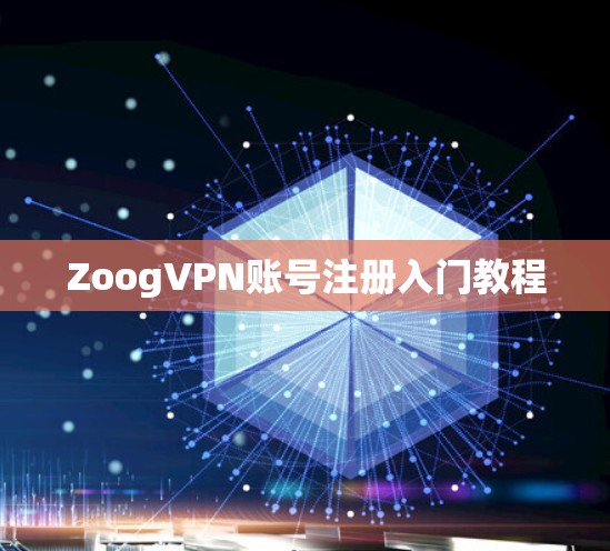 ZoogVPN账号注册入门教程