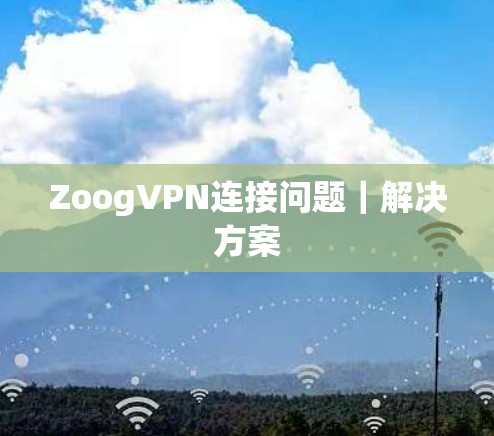 ZoogVPN连接问题｜解决方案