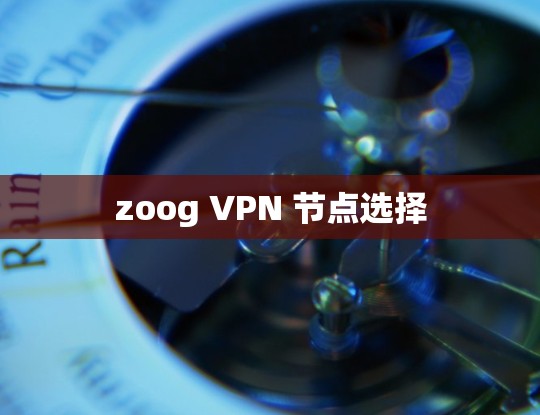 zoog VPN 节点选择