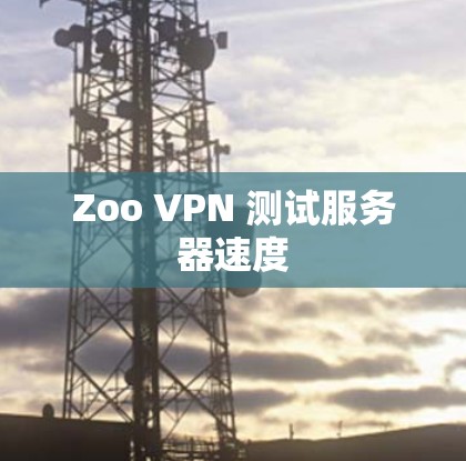 Zoo VPN 测试服务器速度