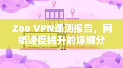 Zoo VPN速测报告，网络速度提升的详细分析