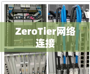 ZeroTier网络连接