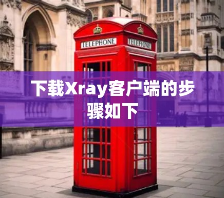 下载Xray客户端的步骤如下