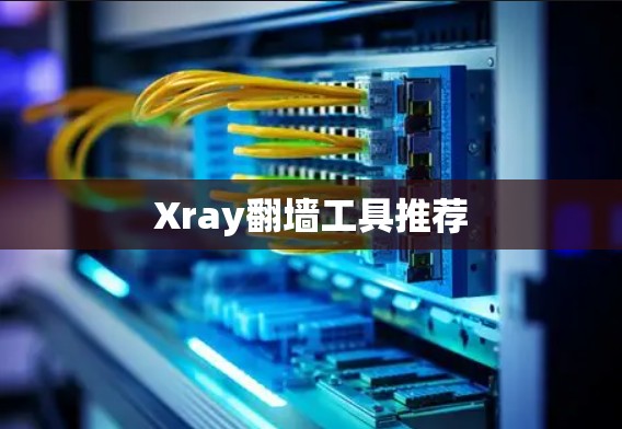 Xray翻墙工具推荐