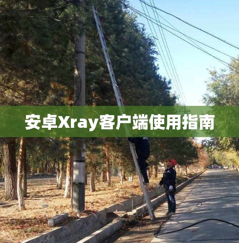 安卓Xray客户端使用指南