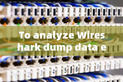 To analyze Wireshark dump data effectively,follow this organized approach: