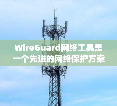 WireGuard网络工具是一个先进的网络保护方案，结合了WPA3和WPA3 security，通过WNS工具来管理网络防火墙、设备、安全策略和远程服务器功能。以下是详细的步骤和建议