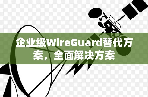 企业级WireGuard替代方案，全面解决方案