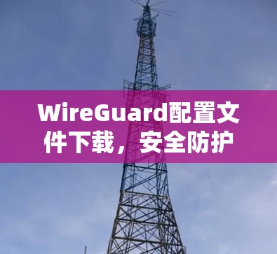 WireGuard配置文件下载，安全防护之选