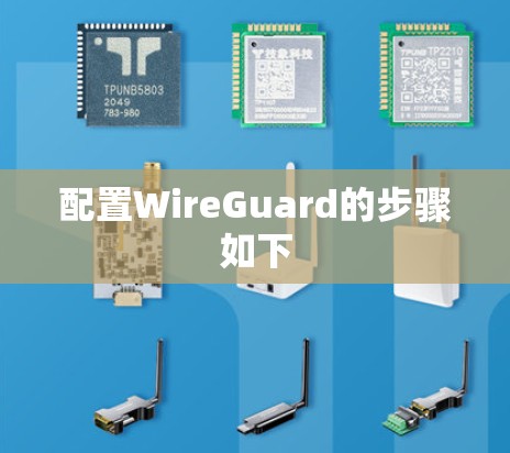 配置WireGuard的步骤如下