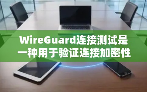 WireGuard连接测试是一种用于验证连接加密性的方法，确保数据传输的安全性。以下是一个详细的步骤说明