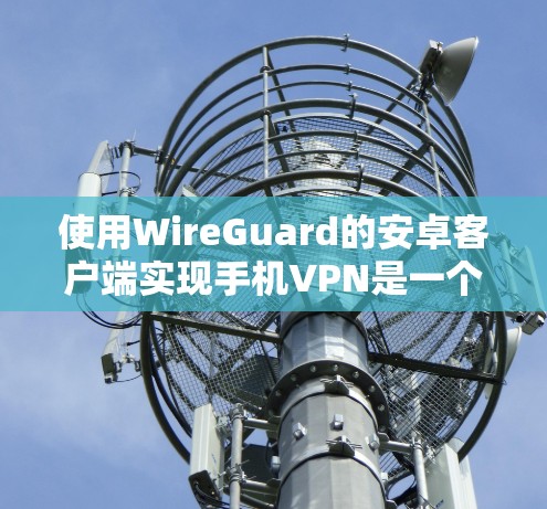 使用WireGuard的安卓客户端实现手机VPN是一个安全且高效的技术体验。以下是一个清晰的指南，帮助您顺利进行