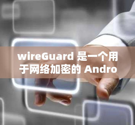 wireGuard 是一个用于网络加密的 Android 应用程序，旨在保护用户的数据和应用的安全。以下是下载并安装 WireGuard的步骤说明