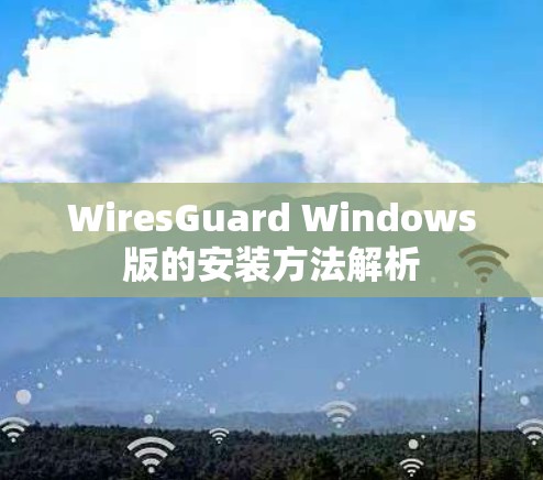 WiresGuard Windows版的安装方法解析