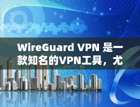 WireGuard VPN 是一款知名的VPN工具，尤其以其在高速连接体验上的表现而闻名。以下是对高速连接体验的详细评价