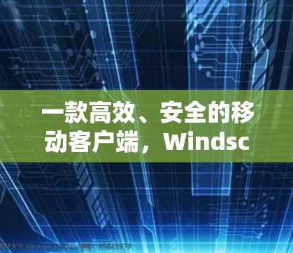 一款高效、安全的移动客户端，Windscribe 客户