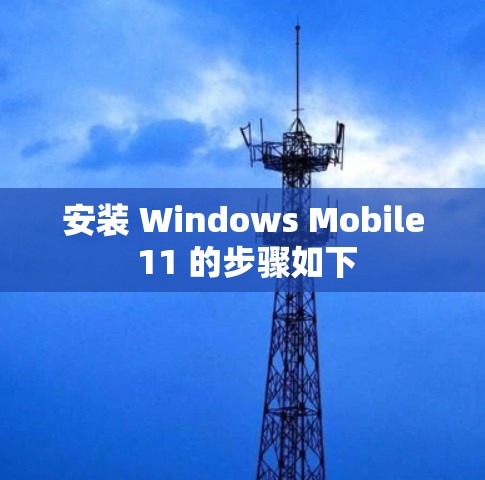 安装 Windows Mobile 11 的步骤如下