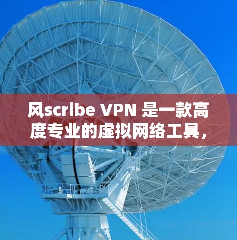 风scribe VPN 是一款高度专业的虚拟网络工具，旨在保护用户在虚拟环境中访问网络数据的安全性和隐私。以下是对其真实体验的详细总结