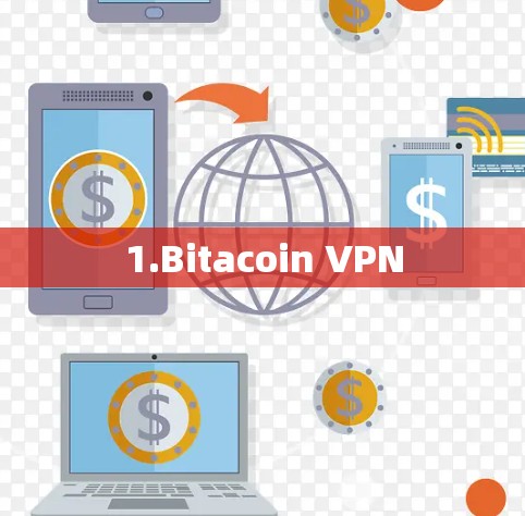 1.Bitacoin VPN