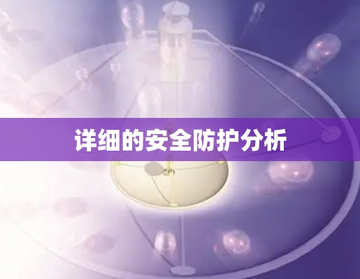 详细的安全防护分析