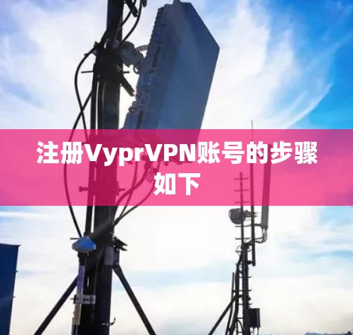 注册VyprVPN账号的步骤如下