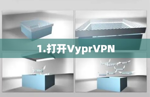 1.打开VyprVPN 1.打开VyprVPN
