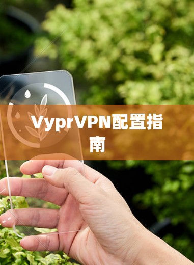 VyprVPN配置指南