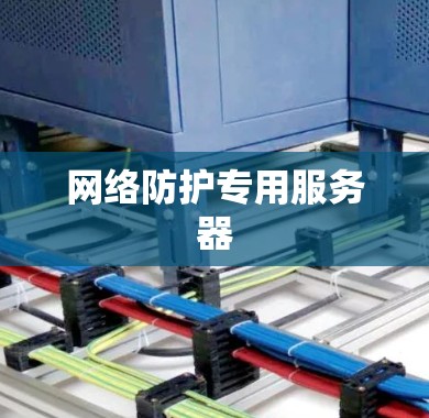 网络防护专用服务器