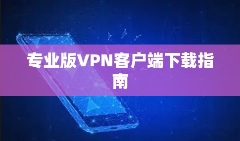 专业版VPN客户端下载指南