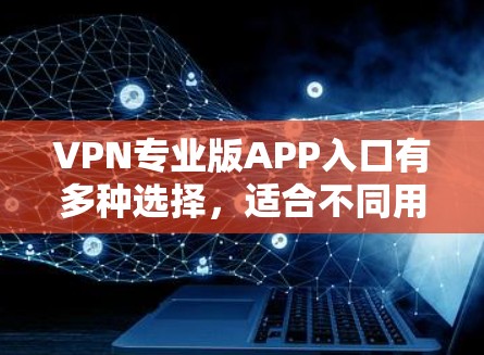 VPN专业版APP入口有多种选择，适合不同用户的需求。以下是一些常见类型和建议