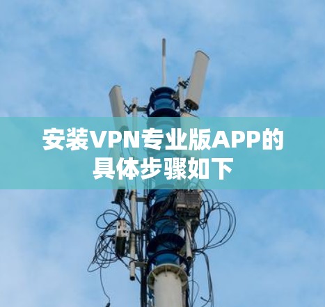 安装VPN专业版APP的具体步骤如下