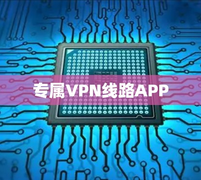 专属VPN线路APP 专属VPN线路APP
