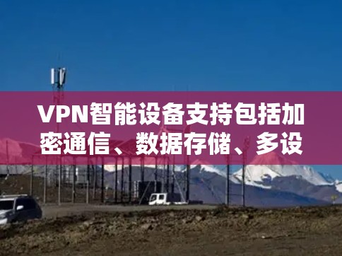 VPN智能设备支持包括加密通信、数据存储、多设备连接、扩展性、兼容性、维护性、安全性和硬件配置等多个方面。以下是详细的分析