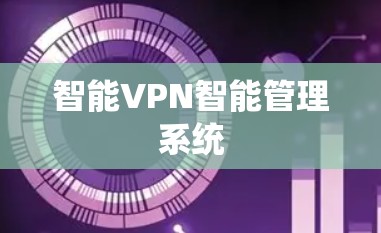 智能VPN智能管理系统 智能VPN智能管理系统