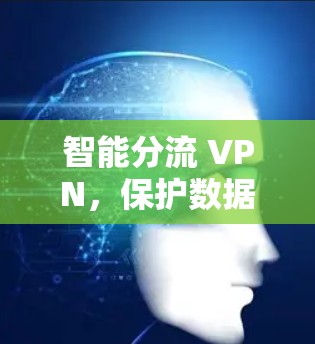智能分流 VPN,保护数据,防止恶意攻击的未来解决方案 智能分流 VPN,保护数据,防止恶意攻击的未来解决方案