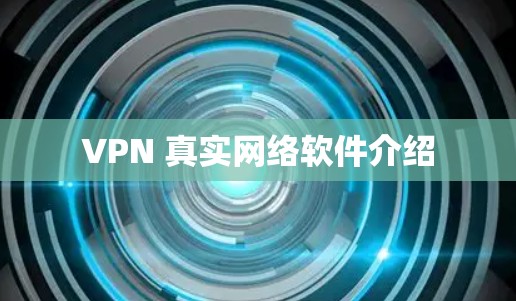 VPN 真实网络软件介绍