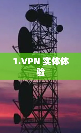 1.VPN 实体体验 1.VPN 实体体验