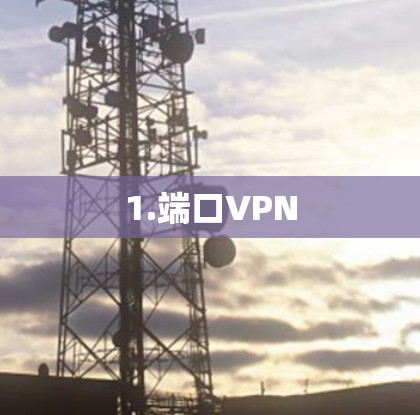 1.端口VPN 1.端口VPN