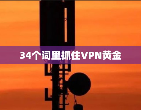 34个词里抓住VPN黄金
