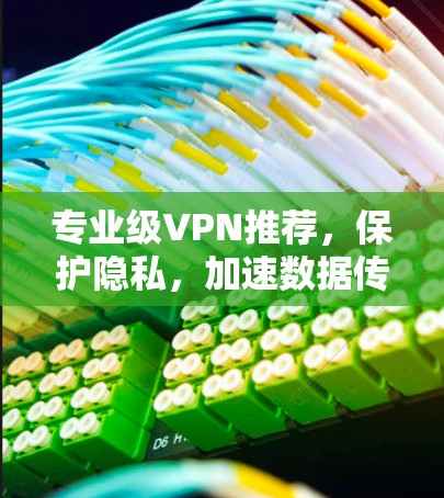 专业级VPN推荐，保护隐私，加速数据传输