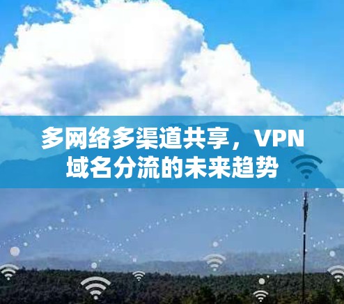 多网络多渠道共享，VPN域名分流的未来趋势