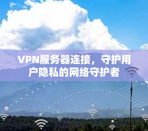 VPN服务器连接，守护用户隐私的网络守护者