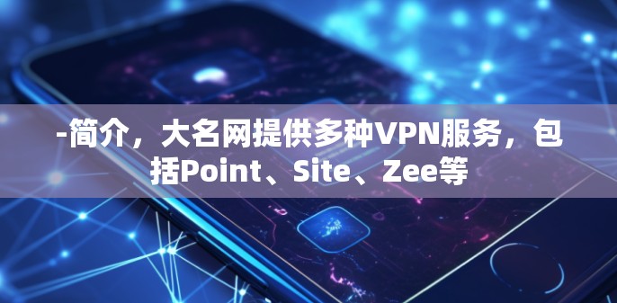 -简介，大名网提供多种VPN服务，包括Point、Site、Zee等